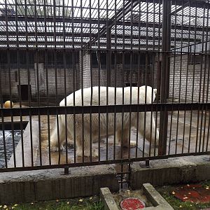 Tallinn zoo, Estonia