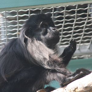 2013: Smithsonian National Zoo