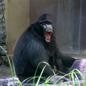 2013: Smithsonian National Zoo