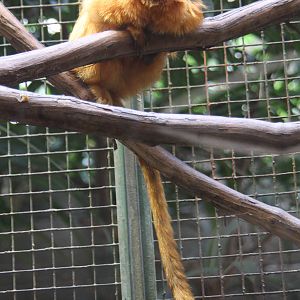 2013: Smithsonian National Zoo