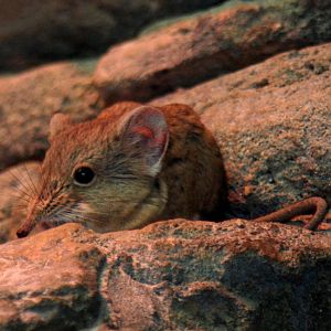 2013: Smithsonian National Zoo