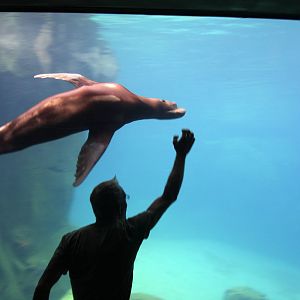 2013: Smithsonian National Zoo