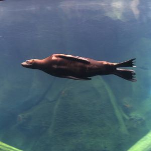 2013: Smithsonian National Zoo