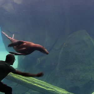 2013: Smithsonian National Zoo