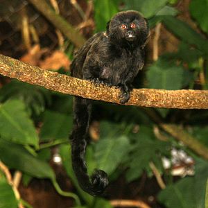 2013: Smithsonian National Zoo