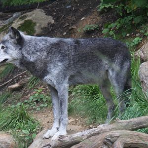 2013: Smithsonian National Zoo