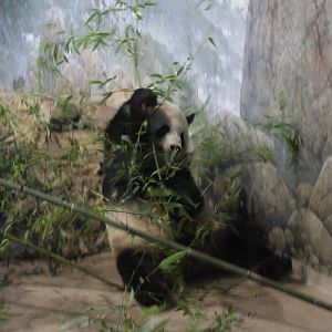 2013: Smithsonian National Zoo