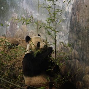 2013: Smithsonian National Zoo