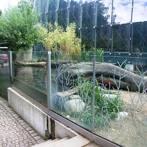 Otter Enclosure at Vienna, 14/06/13