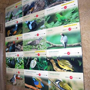 Rainforest House Free-flying Bird Signage at Vienna, 14/06/13