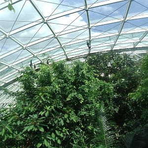 Rainforest House at Vienna, 14/06/13