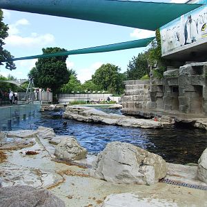 Sea Lion Pool at Vienna, 14/06/13