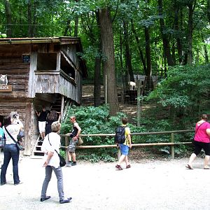 Wolf Viewing at Vienna, 14/06/13