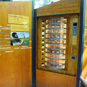 Honey Vending Machine at Vienna, 14/06/13