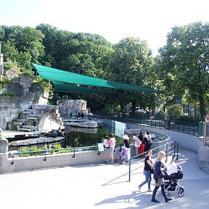 Sea Lion Pool at Vienna, 14/06/13