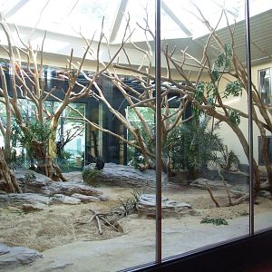 Monkey House Interior at Vienna, 14/06/13