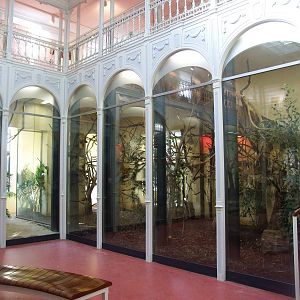 Monkey House Interior at Vienna, 14/06/13