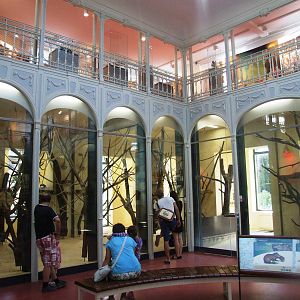 Monkey House Interior at Vienna, 14/06/13