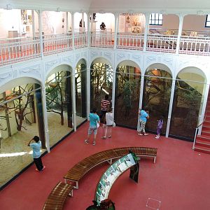 Monkey House Interior at Vienna, 14/06/13