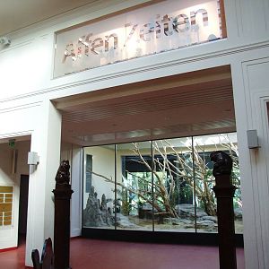 Monkey House Interior at Vienna, 14/06/13