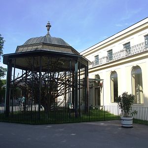 Monkey House at Vienna, 14/06/13