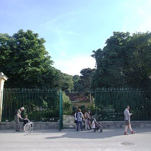 Greater Flamingo Paddock at Vienna, 14/06/13