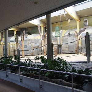 Elephant House Interior at Vienna, 14/06/13