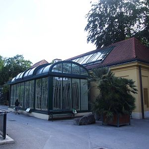 Bird House at Vienna, 14/06/13