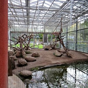 Pavilion of Macaca nigra