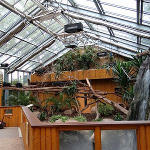 Container of Arctictis binturong
