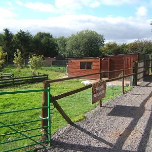 View of African area