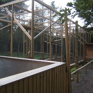 Ring-tailed Lemur enclosure