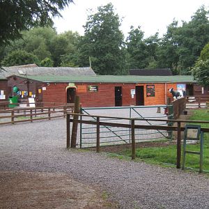 View towards Reptile House