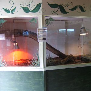 Reticulated Python enclosure