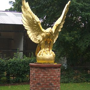 Eagle Statue