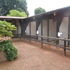 View of Owl court yard