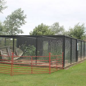 Aviaries August 2013