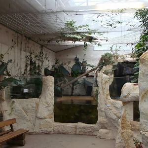Vivarium