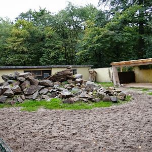 Fragment of the paddock Tapirus terrestris
