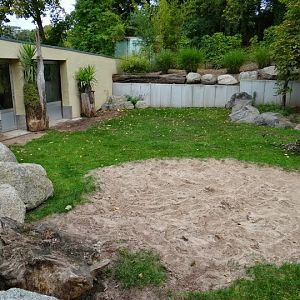 Paddock of Geochelone gigantea