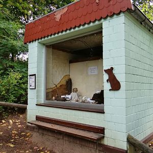 Pavilion of Meriones unguiculatus