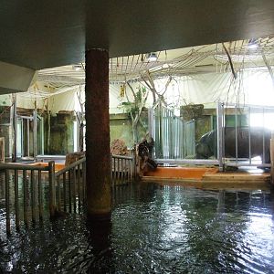 Hippo House Interior at Vienna, 16/06/13