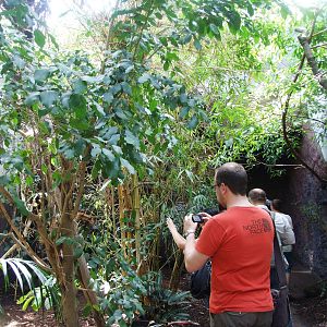 Bird House Interior at Vienna, 16/06/13