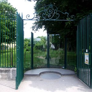Cheetah Viewing at Vienna, 16/06/13
