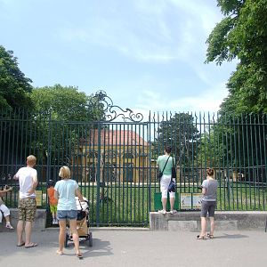 Giraffe Viewing at Vienna, 16/06/13