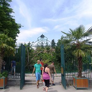 Red Panda Viewing at Vienna, 16/06/13