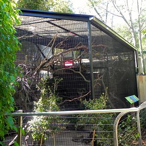 Squirrel monkey exhibit