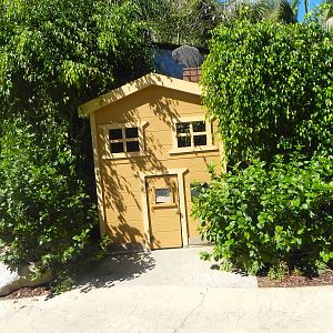 What is left of the pigeon house