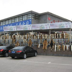 stall at Terracotta Warriors, Xian