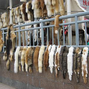 stall at Terracotta Warriors, Xian